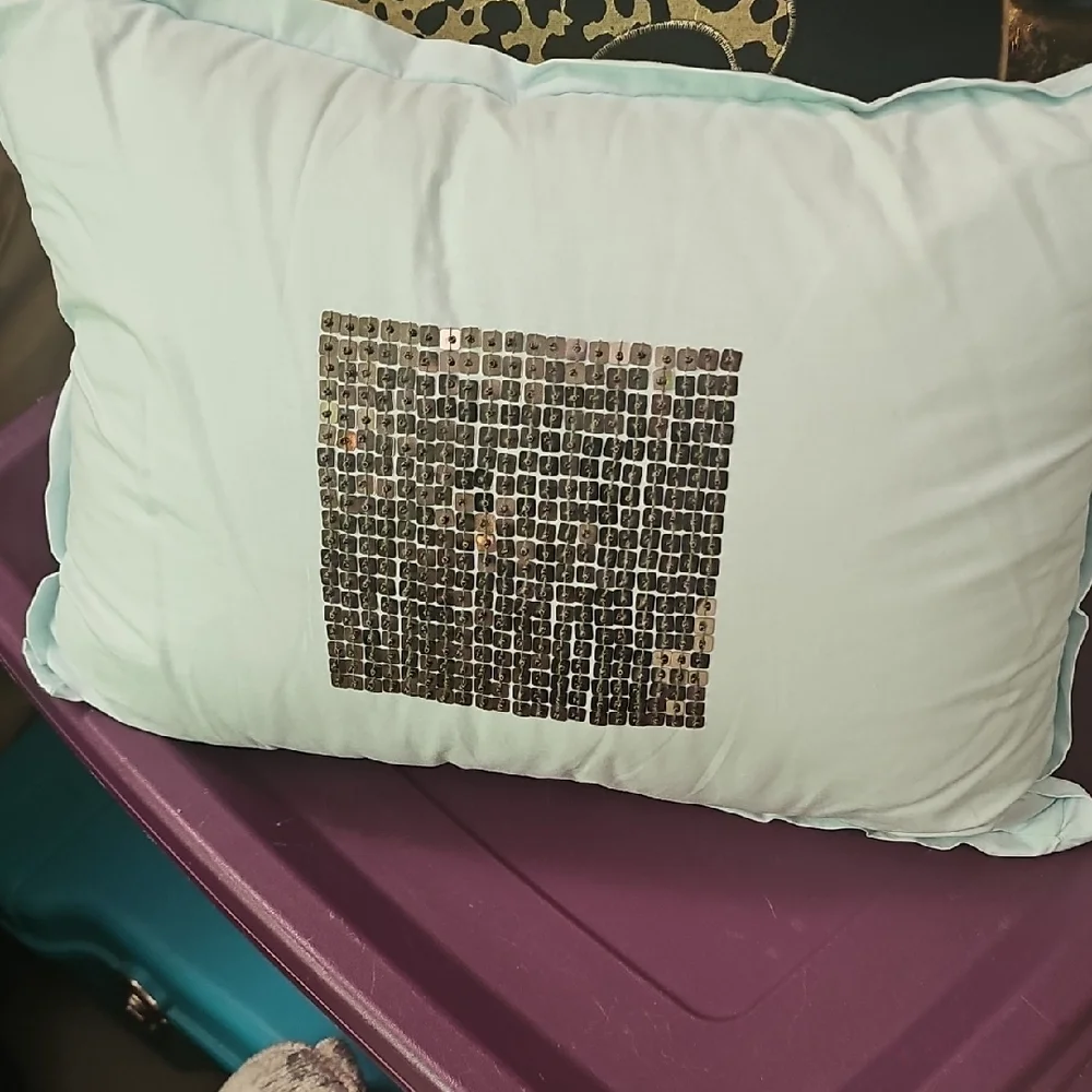 Brand New Robin's Egg Blue And Gunmetal Sequin Accent Pillow 17